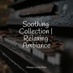 50 Mindful Living Melodies to Relax to - Piano Relajante