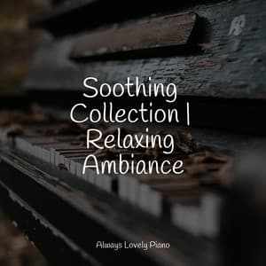 50 Mindful Living Melodies to Relax to - Piano Relajante