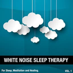 White Noise Sleep Therapy, Vol. 1 - White Noise Sleep Therapy