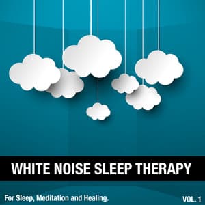 White Noise Sleep Therapy, Vol. 1 - White Noise Sleep Therapy