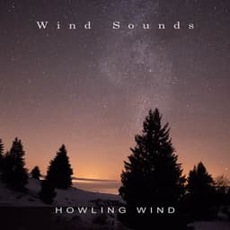 Howling Wind - Wind Sounds