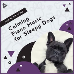 Calming Piano Music for Sleepy Dogs - Dog Music Hour
