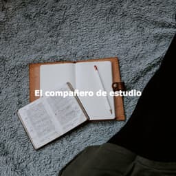 El compañero de estudio - Morning Calm Playlist