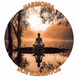 Harmonia dos Elementos. - Academia de Meditação Buddha