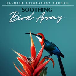 Soothing Bird Array - Calming Rainforest Sounds