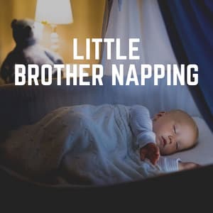 Little Brother Napping - Bright Baby Lullabies