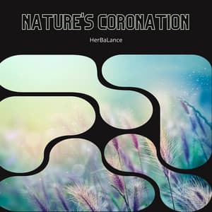 Nature's Coronation: The Majesty of Cistus - HerBaLance