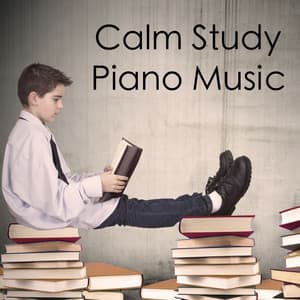 Calm Study Piano Music - Exam Study Classical Music Orchestra