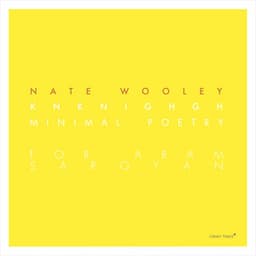 Knknighgh - Nate Wooley