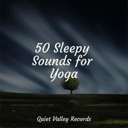 50 Sleepy Sounds for Yoga - Raindrops Sleep
