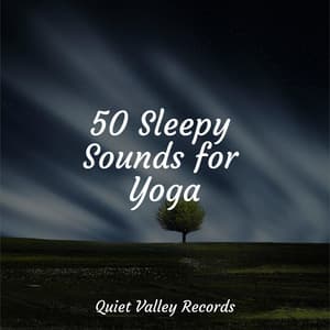50 Sleepy Sounds for Yoga - Raindrops Sleep