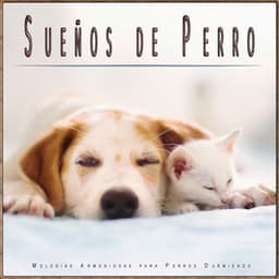 Sueños de Perro: Melodías Armoniosas para Perros Durmiendo - Música Para Perros