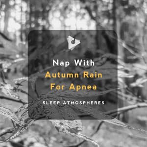 Nap With Autumn Rain For Apnea - Sleep Songs with Nature Sounds