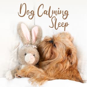 Dog Calming Moon Descent - Jesstai Reya