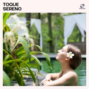 Toque Sereno: Música Spa Massagem - Musica Relaxante