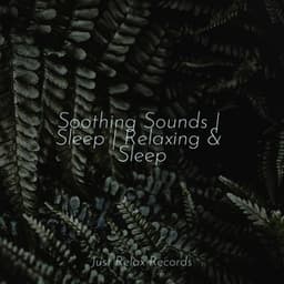 Soothing Sounds | Sleep | Relaxing & Sleep - Meditation Relaxation Club