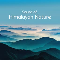 Sound of Himalayan Nature: Soothing Tones with Gentle Tibetan Buddhist Music - Meditation Sounds of the Tibet