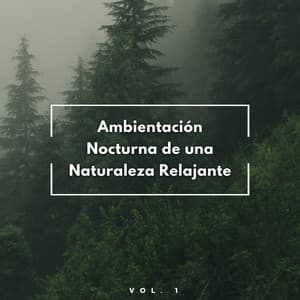 Ambientación Nocturna De Una Naturaleza Relajante Vol. 1 - Últimos sonidos de la naturaleza