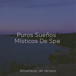 Puros Sueños Místicos De Spa - Musica Relajante & Yoga