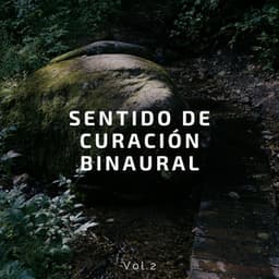 Sentido de curación binaural Vol.2 - Latidos Binaurales Puros