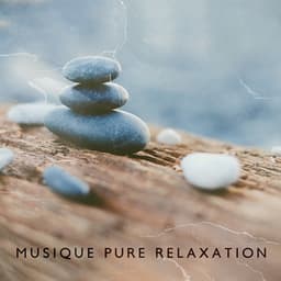Musique pure relaxation - Relaxation mentale