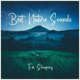 Best Nature Sounds for Sleeping - White Noise Baby Sleep