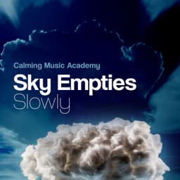 Sky Empties Slowly - Calming Music Academy