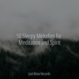 50 Sleepy Melodies for Meditation and Spirit - Relaxing Spa Music