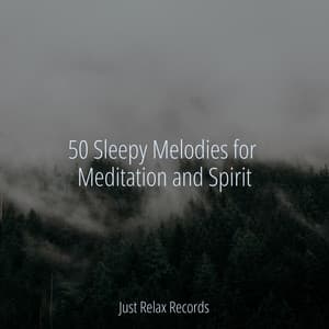50 Sleepy Melodies for Meditation and Spirit - Relaxing Spa Music