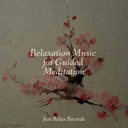 Relaxation Music for Guided Meditation - Mantra para Meditar