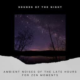 Ambient Noises of the Late Hours for Zen Moments - Sounds of the Night