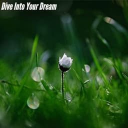 Dive Into Your Dream - Música Ambiental para Bares