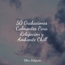 50 Grabaciones Calmantes Para Relajación y Ambiente Chill - Entrenamiento Autògeno y Meditación Specialistas