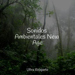 Sonidos Ambientales New Age - Academia de Relaxamento e Meditação