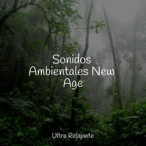 Sonidos Ambientales New Age - Academia de Relaxamento e Meditação