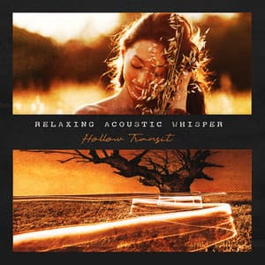 Relaxing Acoustic Whisper - Hollow Transit