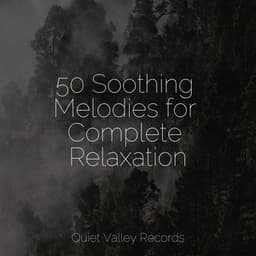 50 Soothing Melodies for Complete Relaxation - Nature Sound Series