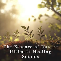 The Essence of Nature - Ultimate Healing Sounds - Relax α Wave