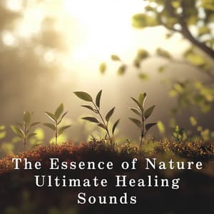The Essence of Nature - Ultimate Healing Sounds - Relax α Wave