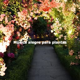 Música alegre para plantas - Música para Tiendas Ambiente