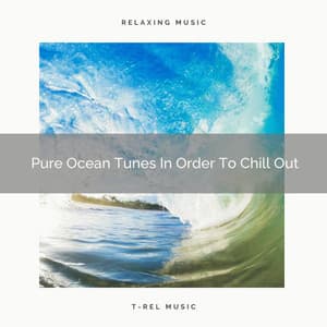 Pure Ocean Tunes In Order To Chill Out - Calm Sea Sounds