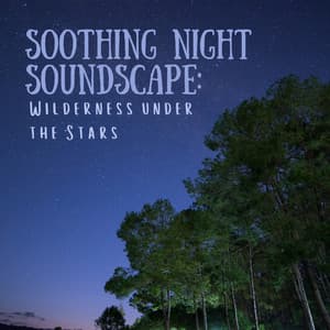 Soothing Night Soundscape: Wilderness under the Stars - Nature Sounds Research