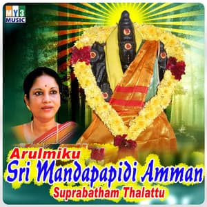 Arulmiku Sri Mandapapidi Amman - Devi Nethiyar