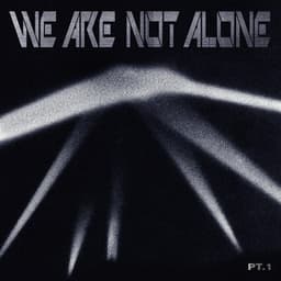 Ellen Allien Presents We Are Not Alone, Pt. 1 - Ellen Allien