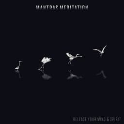 Mantras Meditation - Release Your Mind & Spirit: Healing Songs for Mindfulness Meditation, Relaxing Sounds from India - Chakra Balancing 101