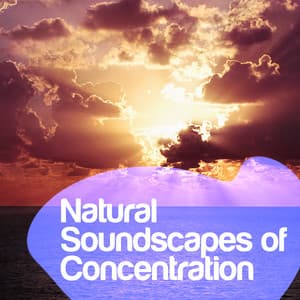 Natural Soundscapes of Concentration - Exam Study Nature Music Nature Sounds