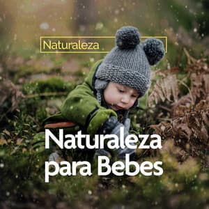 Naturaleza para Bebes - Naturaleza