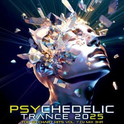 Psychedelic Trance 2025 Top 40 Chart Hits, Vol. 7 DJ Mix 3Hr - DoctorSpook
