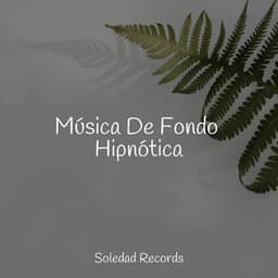 Música De Fondo Hipnótica - Maestros de música de la meditación