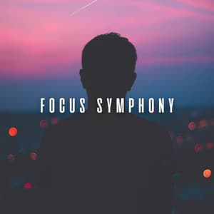 Focus Symphony: Tranquil Bird Sounds with Chill Music - Bird Song Lullabies